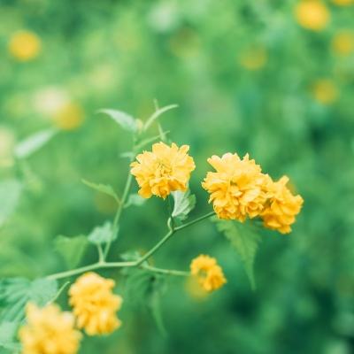 恶魔骑士团高爆版手游下载